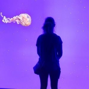 Meet your Posher, Claire